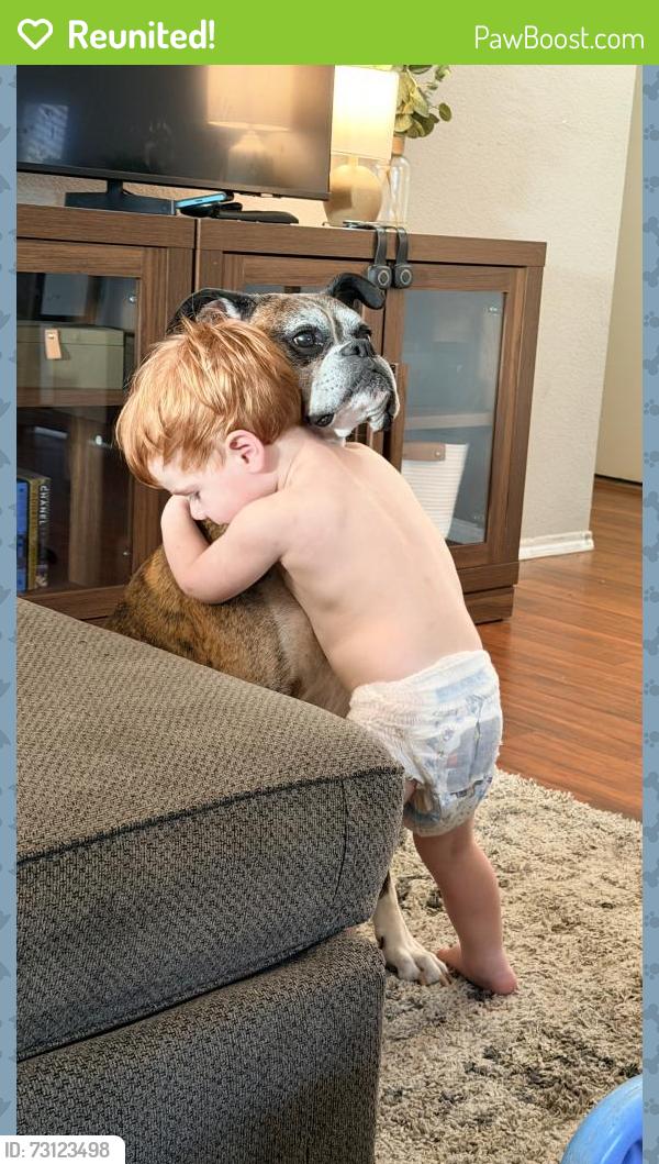Reunited Male Dog last seen Hollow bend @ bristolwood, Fort Worth, TX 76123