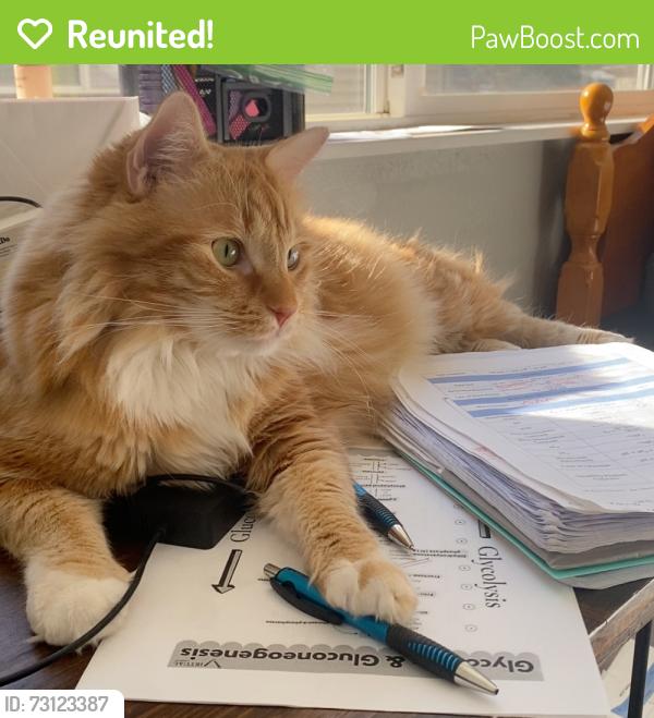 Reunited Male Cat last seen Near E Dickinson Dr, Aurora, CO 80014