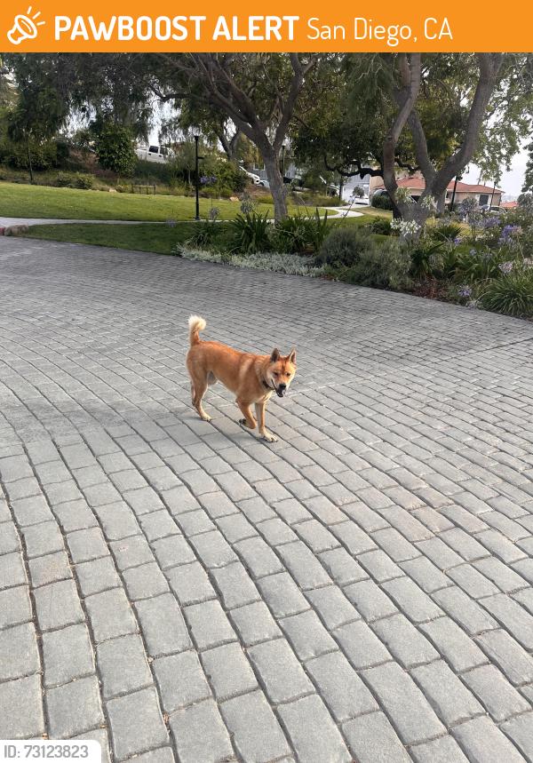 Found/Stray Unknown Dog last seen Old Town historic hses, San Diego, CA 92110