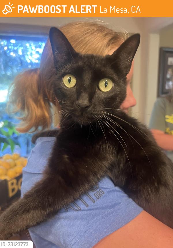 Found/Stray Male Cat last seen La mesa, La Mesa, CA 91942