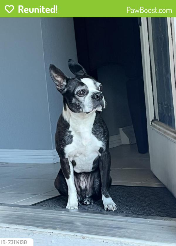 Reunited Male Dog last seen Yale Ave. & Xanadu Way, Aurora, CO 80014