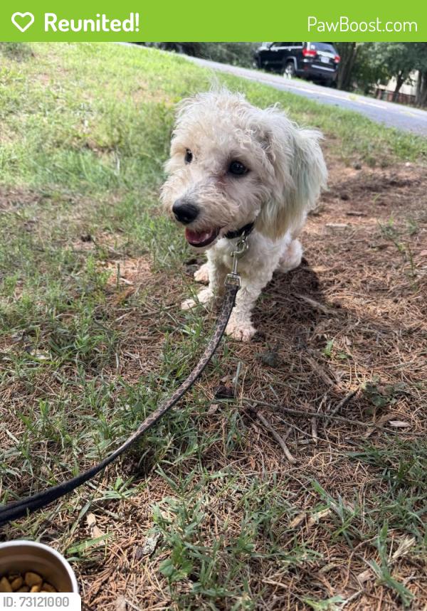 Reunited Male Dog last seen Underpass Rd, Advance, Advance, NC 27006