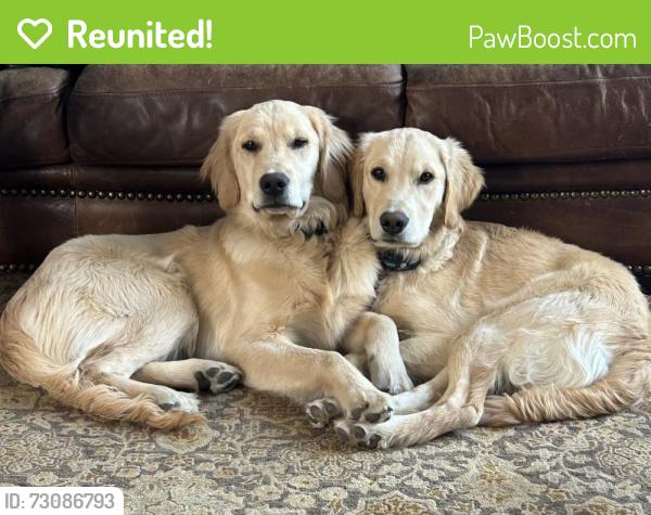 Reunited Male Dog last seen Lake country dr, Fort Worth, TX 76179