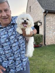 Reunited Male Dog last seen Near E 127th St S, Bixby, OK 74008