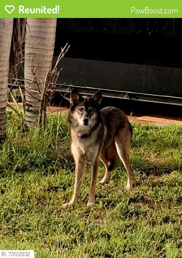 Reunited Unknown Dog last seen Auburn ave nw Palm Bay FL, Palm Bay, FL 32907