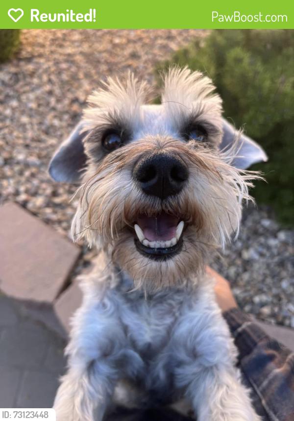Reunited Female Dog last seen Kimmick and Rosa Parks, Albuquerque, NM 87120