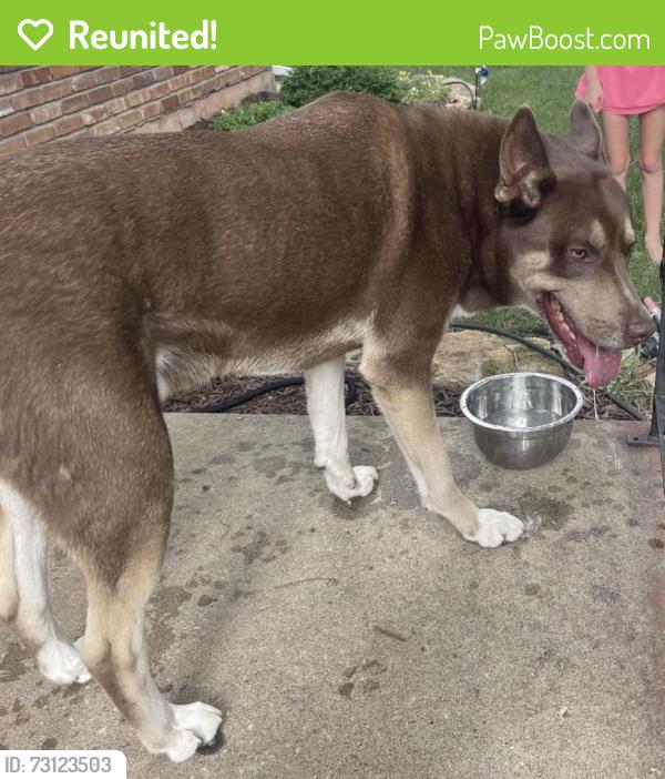 Reunited Male Dog last seen 94th & Kessler Ln, Overland Park, KS 66212