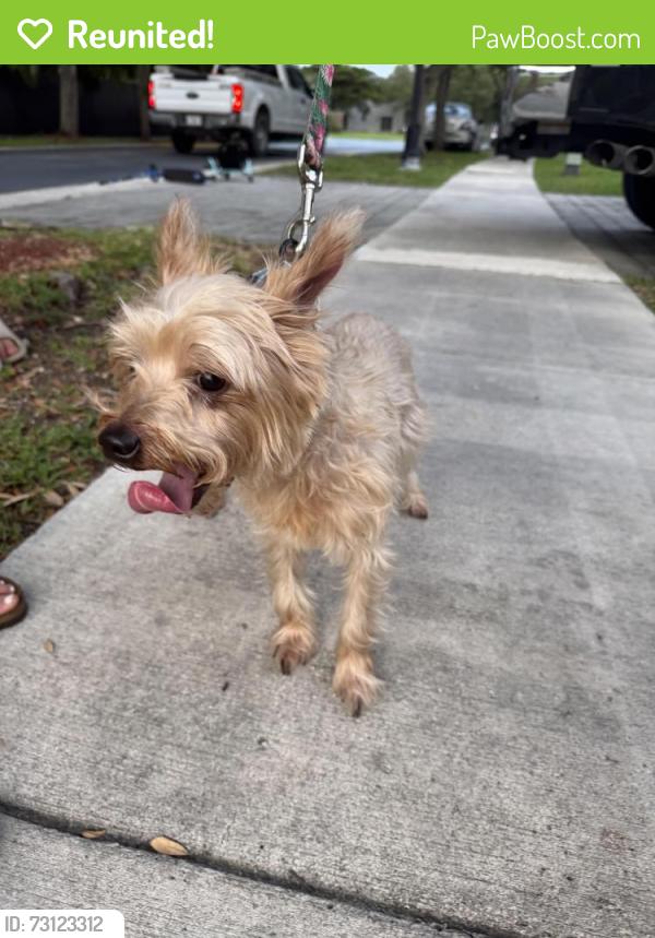 Reunited Male Dog last seen Near NE 8th St hmstd, FL 33033 United States, Homestead, FL 33033