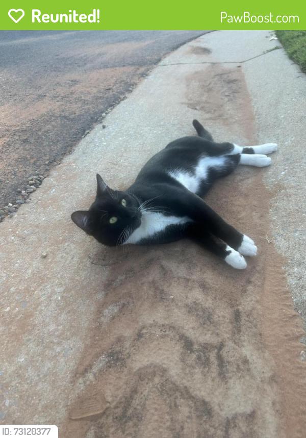 Reunited Male Cat last seen Sooner and Danforth, Edmond, OK 73034