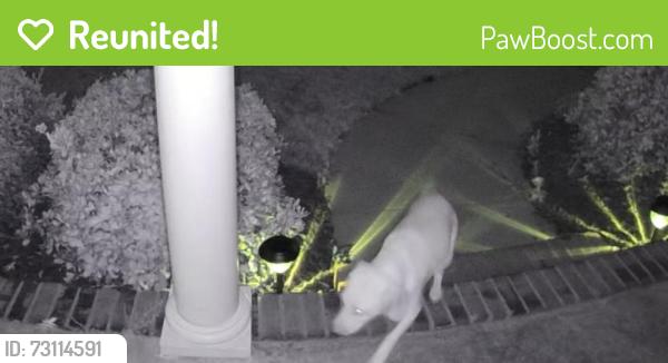 Reunited Unknown Dog last seen 9:13 pm Whiteweld Terrace & Trumpet Vine, Wilmington, NC 28412