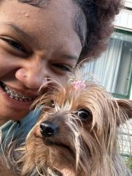 Lost Female Dog last seen Congress ave in Waterbury toward highland naughatuck line, Waterbury, CT 06708