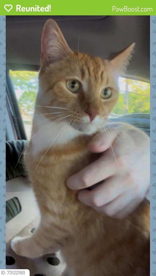 Reunited Male Cat last seen NE 15th & Prahl Pkwy, Hillsboro, OR 97124