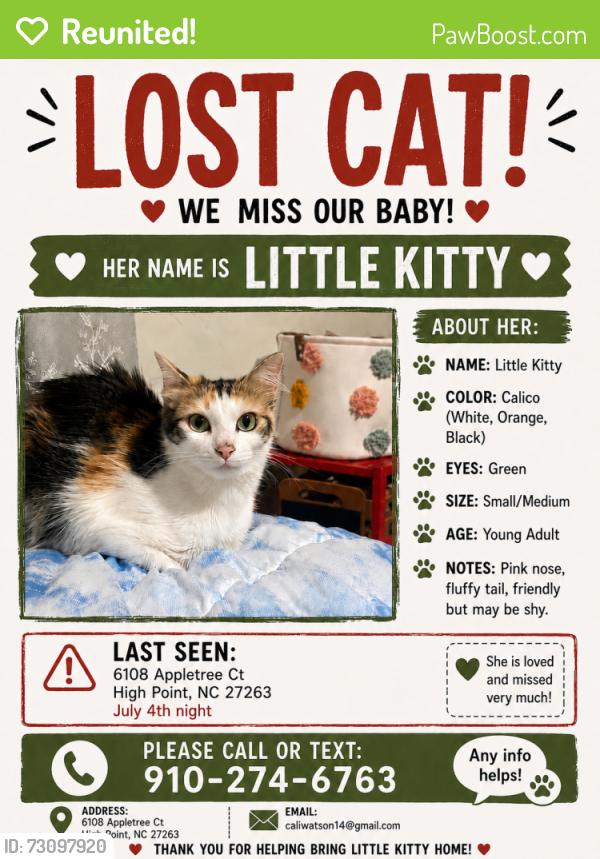 Reunited Female Cat last seen Near appletree court, High Point, NC 27263