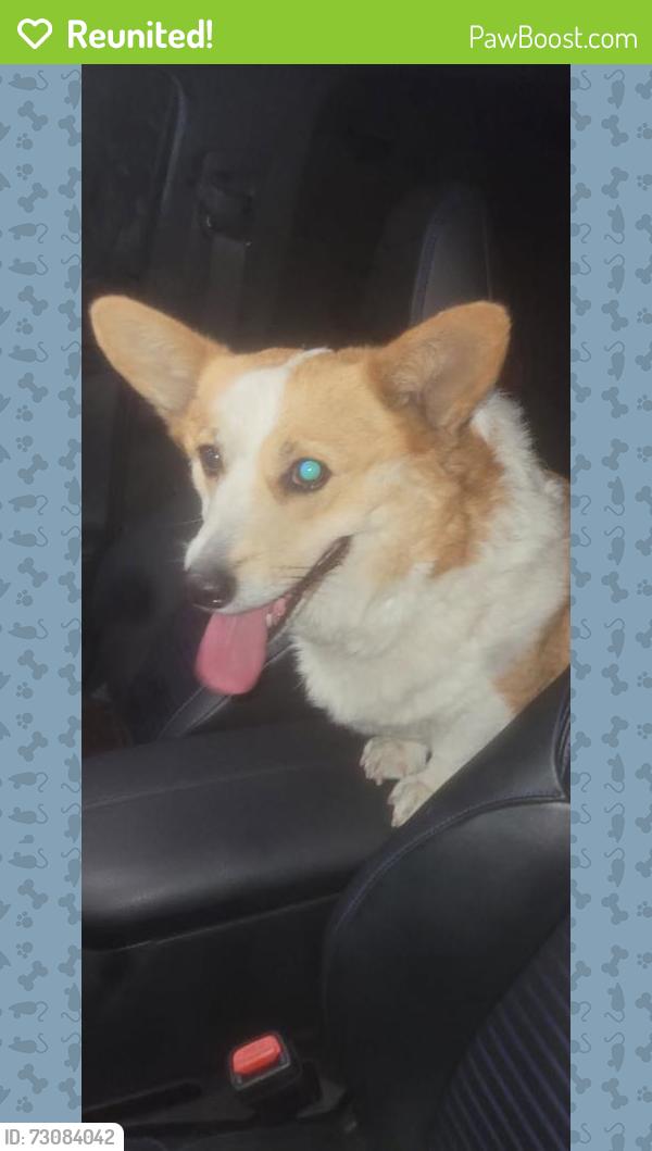 Reunited Unknown Dog last seen Cogswell, El Monte, CA 91732
