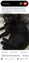 Lost Male Cat last seen Near maritta LN, Savannah, TX 76227