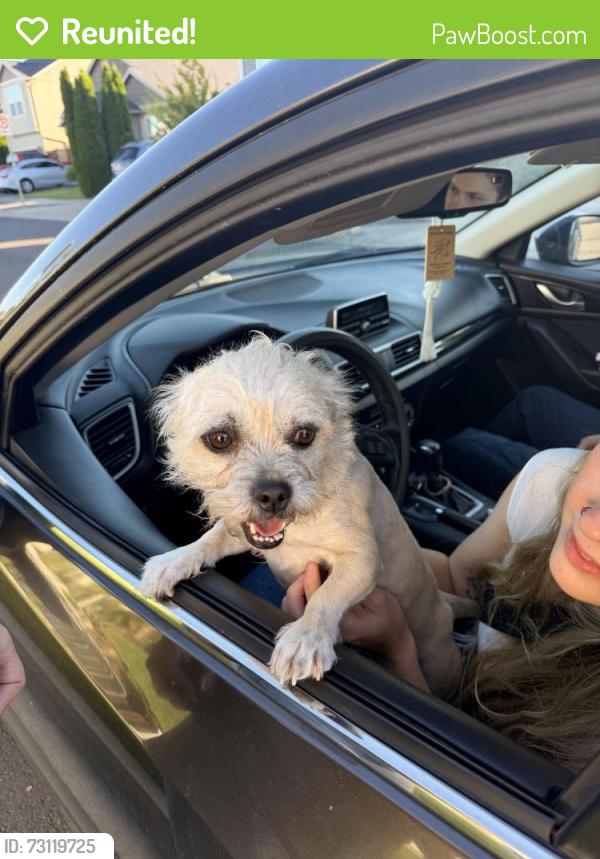 Reunited Female Dog last seen W11th, Eugene, OR 97402