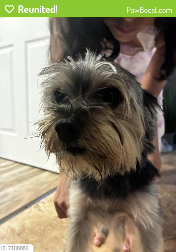 Reunited Male Dog last seen Crest haven Park, Pompano Beach, FL 33064