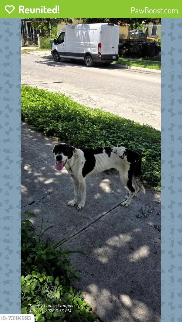 Reunited Female Dog last seen Pinto St and Monterey St., San Antonio, TX 78207