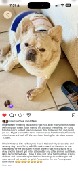 Lost Female Dog last seen El Toyon park 1212 fig CT National City CA 91950, National City, CA 91950