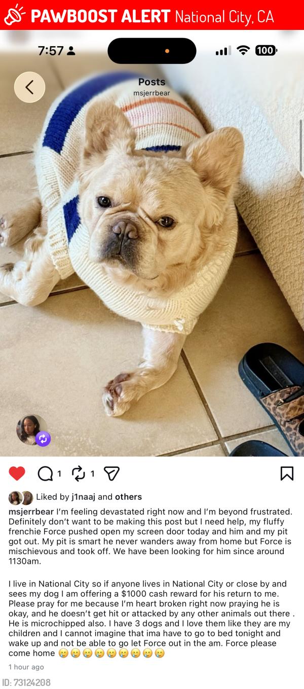 Lost Female Dog last seen El Toyon park 1212 fig CT National City CA 91950, National City, CA 91950