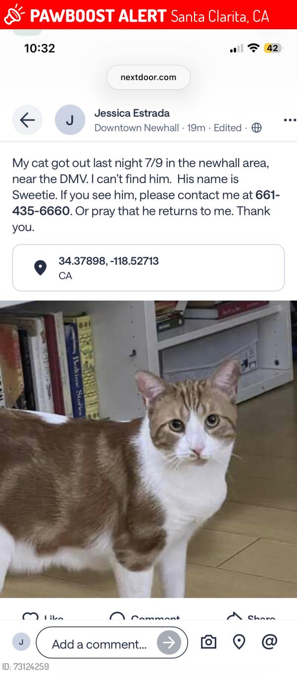 Lost Male Cat last seen Newhall DMV, Santa Clarita, CA 91321
