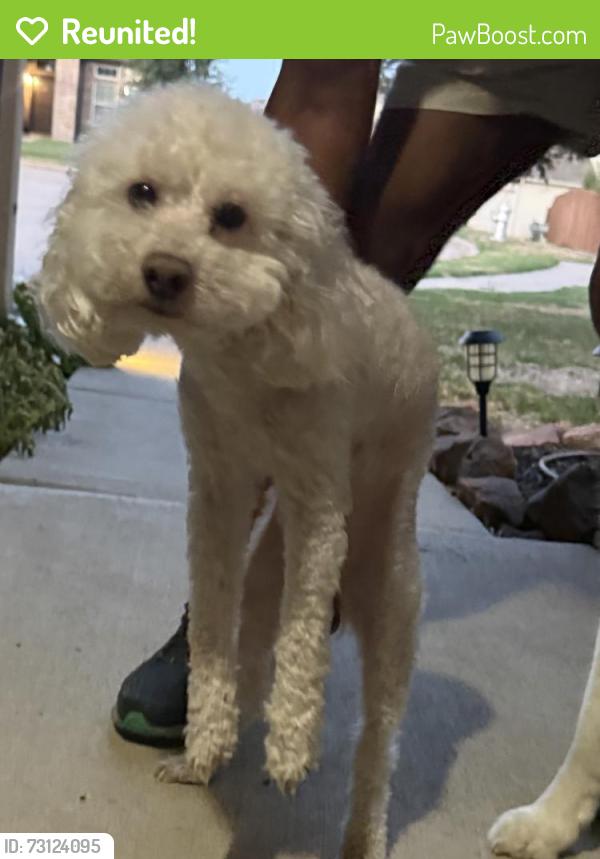 Reunited Male Dog last seen Roaming near Hemphill St, and Coventry East neighborhood, Fort Worth, TX 76036