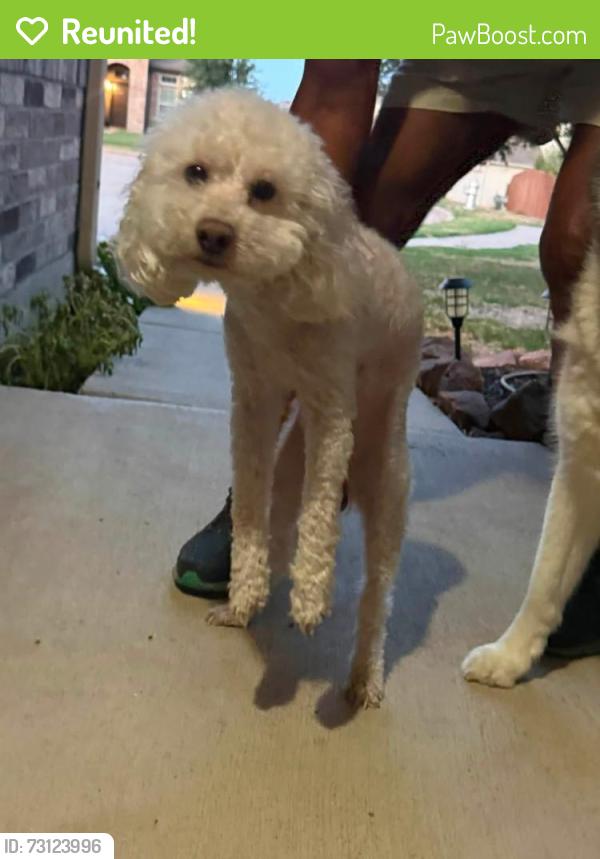 Reunited Male Dog last seen Hemphill and Millbrook Ln, Crowley, Fort Worth, TX 76036