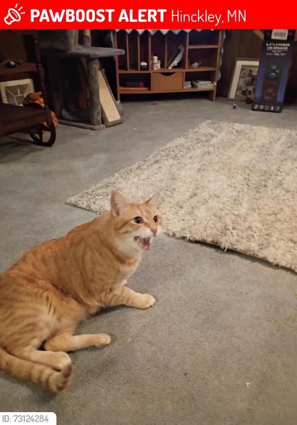 Lost Male Cat last seen Hinckley casino, Hinckley, MN 55037