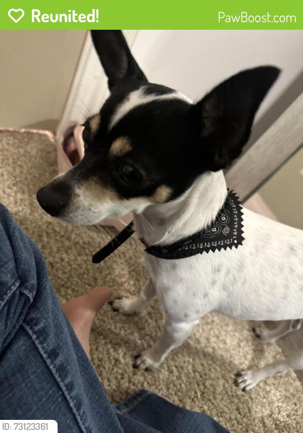 Reunited Female Dog last seen Rebuff, Pasadena, TX 77503