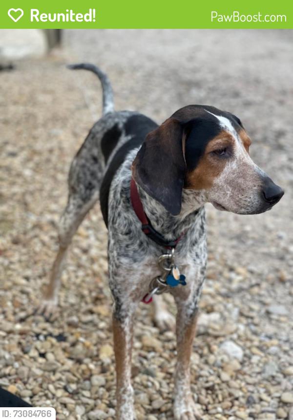 Reunited Female Dog last seen SE Winston-Salem, Old Plantation Circle, Peace Haven, Winston-Salem, NC 27104