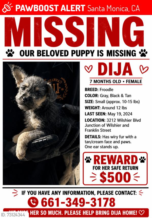 Lost Female Dog last seen By the CVS, Santa Monica, CA 90403