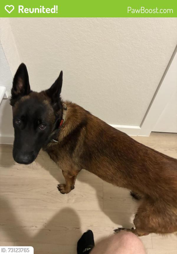 Reunited Male Dog last seen Chevalier forest, San Antonio, TX 78221