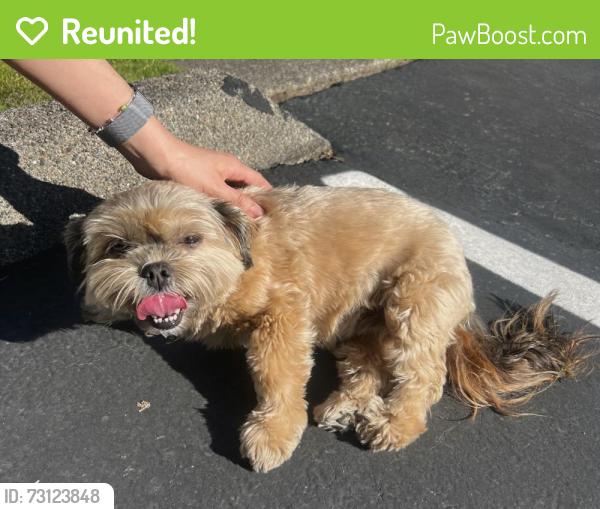 Reunited Unknown Dog last seen Kent valley ice center, Kent, WA 98032