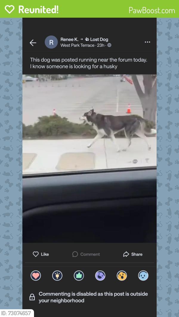 Reunited Male Dog last seen 58th St and Broadway, Los Angeles, CA 90037