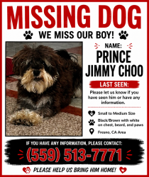 Lost Male Dog last seen Cedar and Gettysburg, Fresno, CA 93726