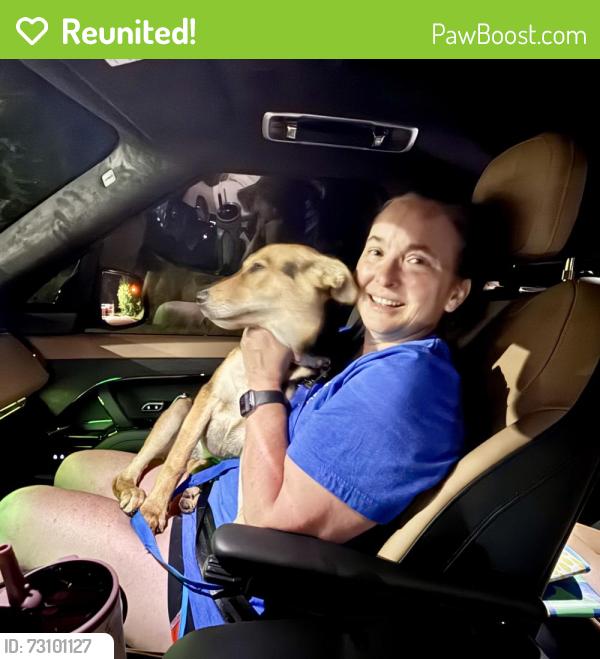 Reunited Female Dog last seen FM 344, Flint, TX 75762