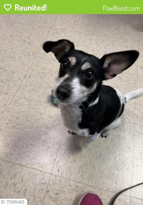Reunited Female Dog last seen 75th St and Goddard, Shawnee, KS 66214