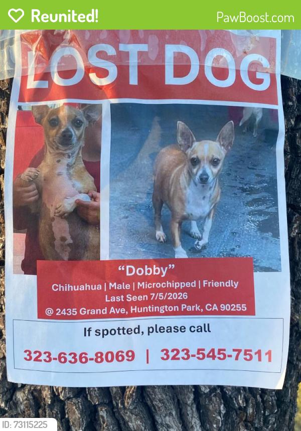 Reunited Male Dog last seen Pacific Blvd, huntington Park, CA 90255, Huntington Park, CA 90255