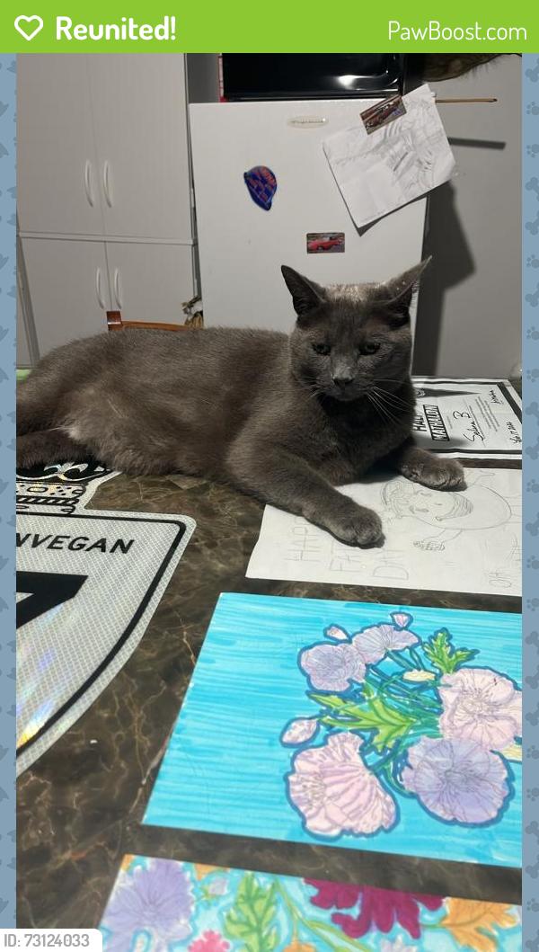 Reunited Male Cat last seen Near county road 34 lancaster, South Glengarry, ON K0C 1N0