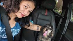 Reunited Female Dog last seen Near Victoria park Ave., Toronto, ON M3A 1W8