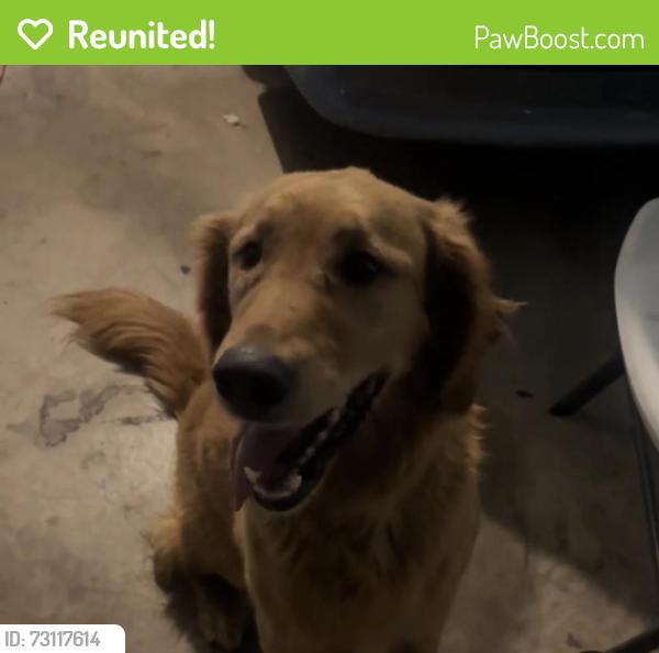 Reunited Male Dog last seen Sara rd / Birkenhead rd, Yukon, OK 73099