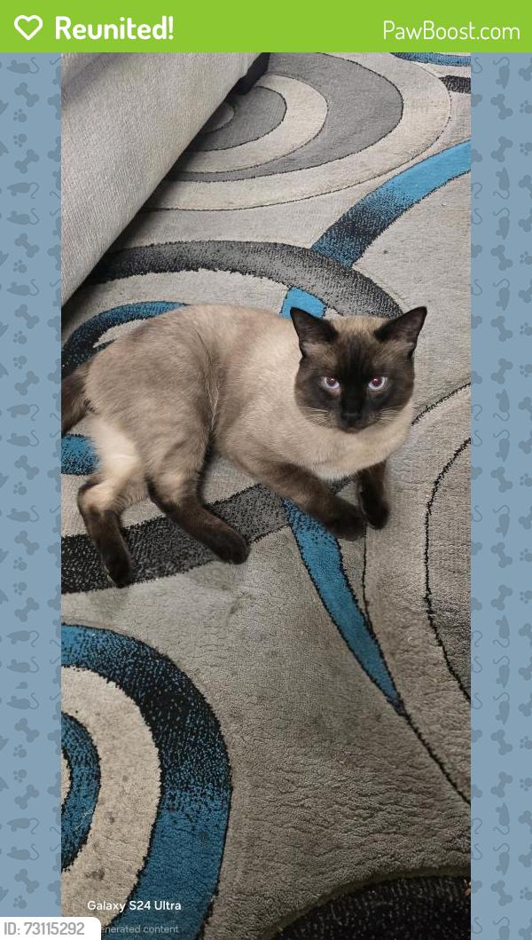 Reunited Male Cat last seen Near ne 195th ln, Shoreline, WA 98155