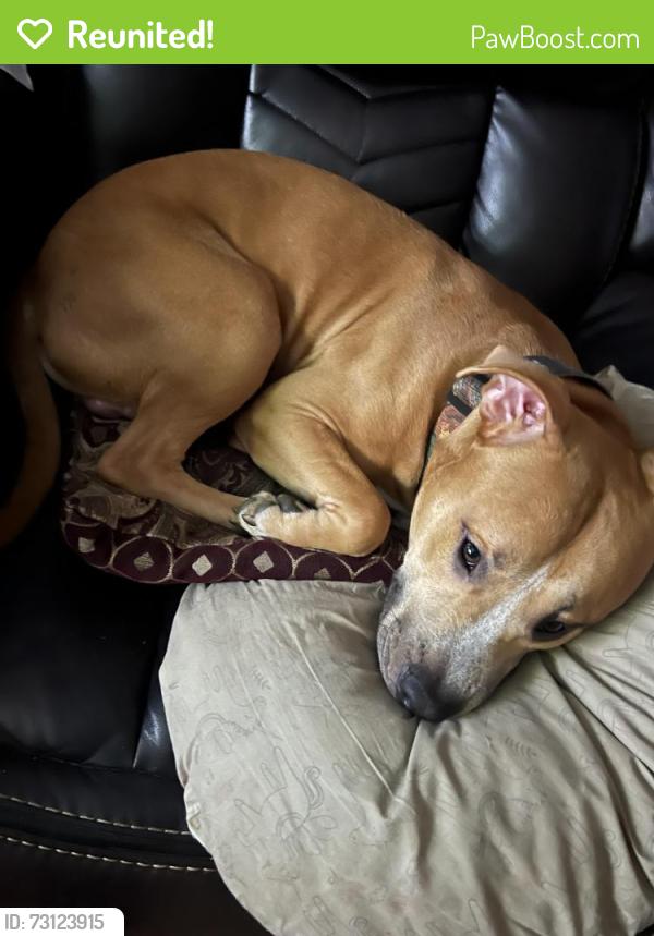 Reunited Male Dog last seen Keith West Park, Houston, TX 77093