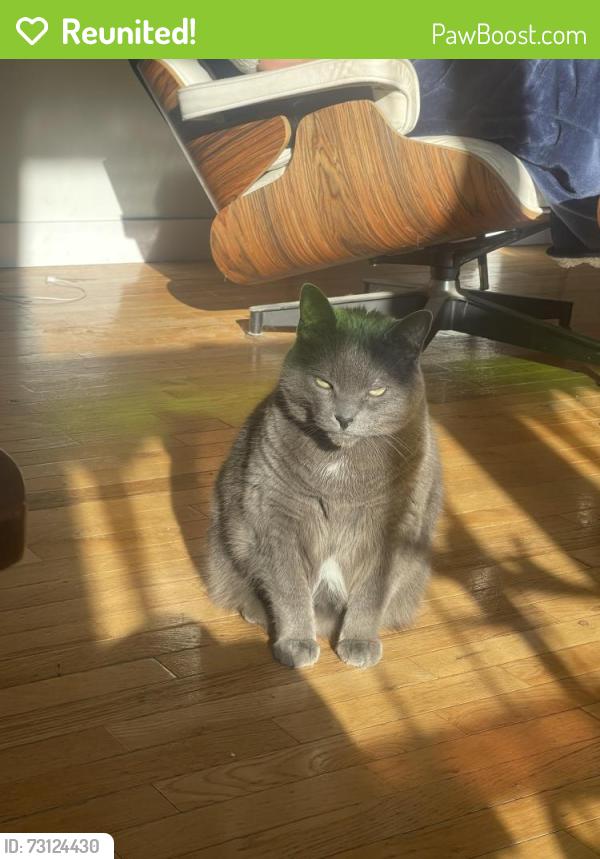 Reunited Female Cat last seen highway 224, Upper Musquodoboit, NS 