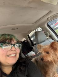 Lost Male Dog last seen Imperial valley drive, Houston, TX 77060