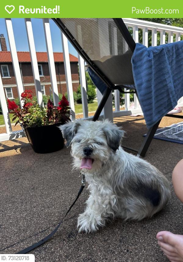 Reunited Unknown Dog last seen Hertel Ave, Buffalo, NY 14216