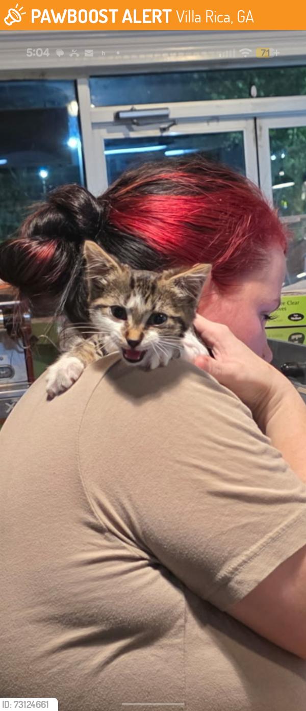 Found/Stray Female Cat last seen Sprinkles donuts, Villa Rica, GA 30180