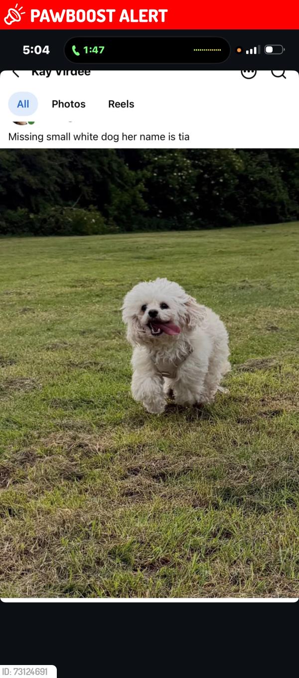Lost Female Dog last seen Marroway, Weston Turville, England 