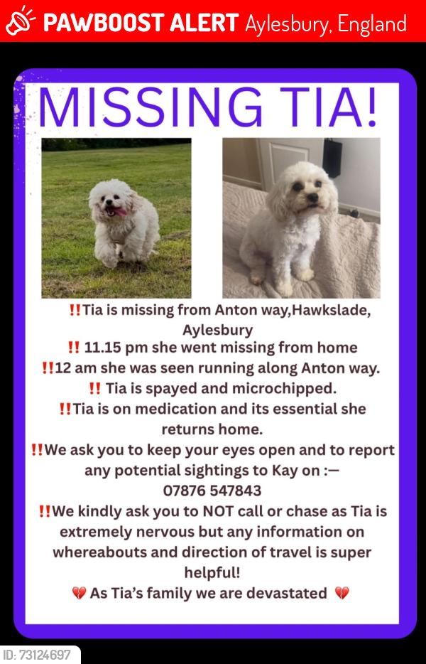 Lost Female Dog last seen ELLEN ROAD, Aylesbury, England 