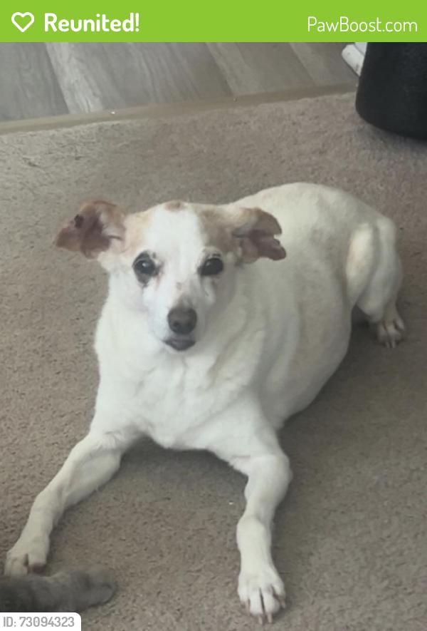 Reunited Female Dog last seen cownie sports complex. whispering ridge dr and king avenue, Des Moines, IA 50320